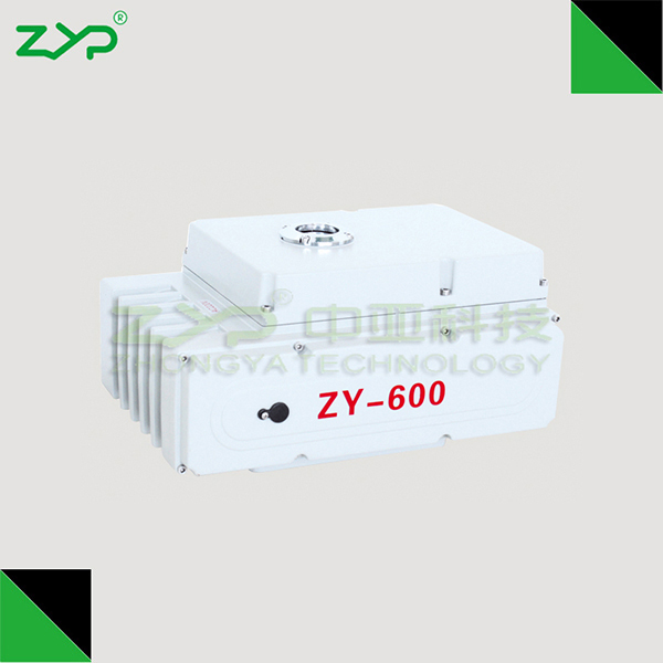 ZY-600